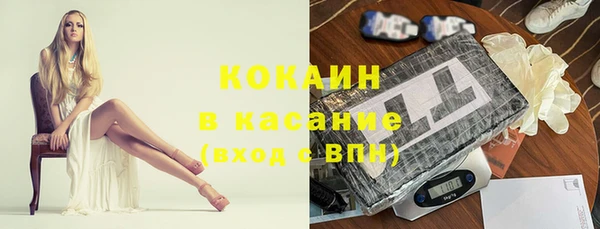 твердый Алексеевка