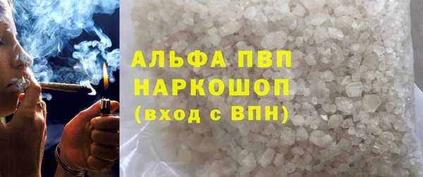 прущие грибы Ачинск