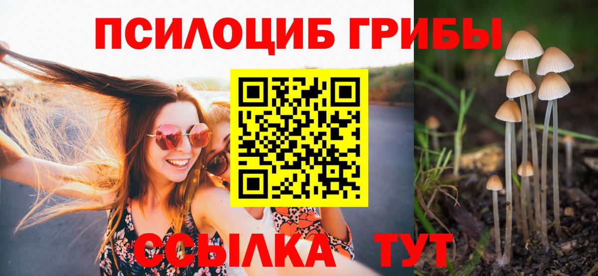 Красноярск  Псилоцибиновые грибы Psilocybine cubensis  Вход с VPN 